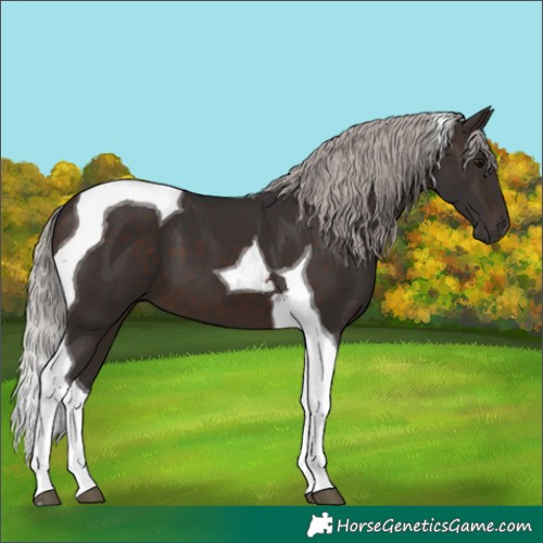 Horse Color:Silver Brown Tobiano 