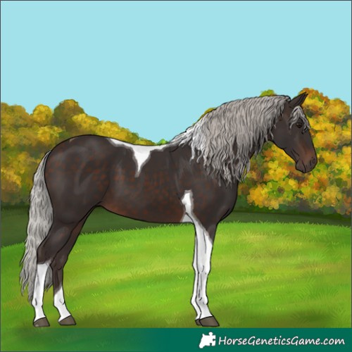Horse Color:Silver Brown Tobiano