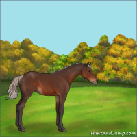 Horse Color:Silver Brown 