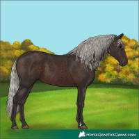 Horse Color:Silver Brown 