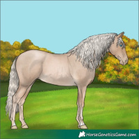 Horse Color:Chocolate Palomino Roan Pearl