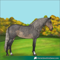 Horse Color:Silver Smoky Blue Roan 