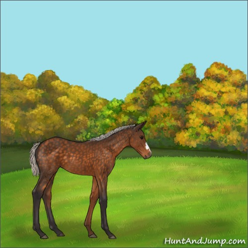 Horse Color:Silver Buckskin 