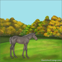 Horse Color:Silver Black 