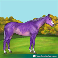 Horse Color:Watercolor Silver Smoky Black 