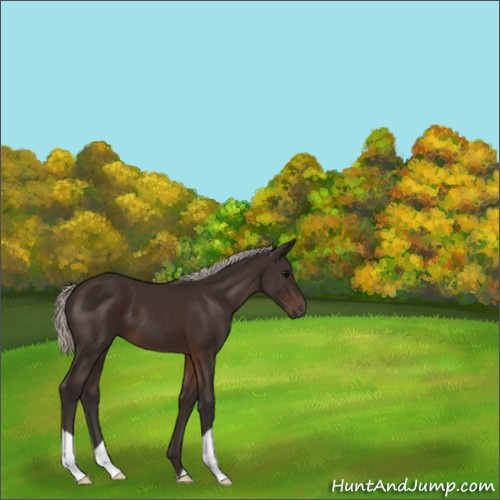 Horse Color:Silver Brown 