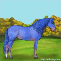 Horse Color:Watercolor Liver Red Roan 