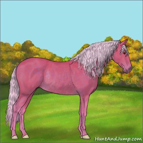 Horse Color:Watercolor Silver Buckskin Rabicano
