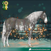 Horse Color:Midnight Silver Perlino Sabino Rabicano 