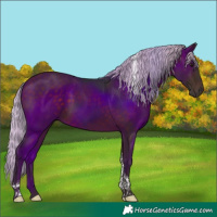 Horse Color:Silver Brown Tobiano 
