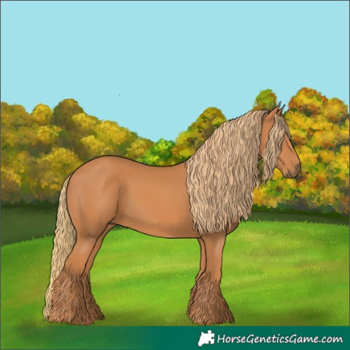 Horse Color:Chestnut 