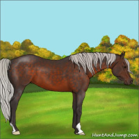 Horse Color:Silver Brown 