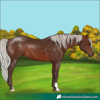 Horse Color:Silver Brown 