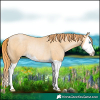 Horse Color:Buckskin Pearl Splash Rabicano 