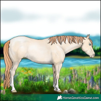 Horse Color:Classic Cream Champagne Pearl Rabicano