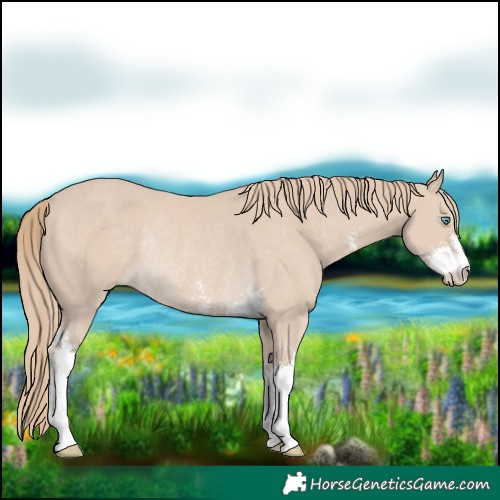 Horse Color:Smoky Creme Sabino Rabicano