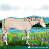 Horse Color:Smoky Creme Sabino Rabicano