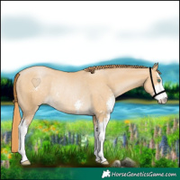 Horse Color:Smoky Black Pearl Sabino Rabicano