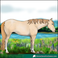 Horse Color:Buckskin Pearl 