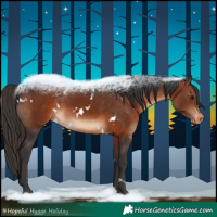 Horse Color:White Spotted Brown Appaloosa 