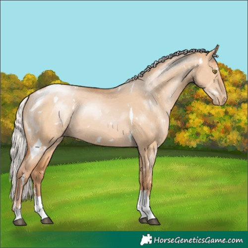 Horse Color:White Spotted Silver Brown Pearl Dun Tobiano