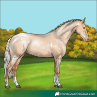 Horse Color:White Spotted Silver Brown Pearl Dun Tobiano 