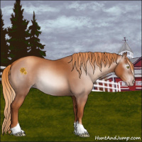 Horse Color:Gray Gold Champagne Tobiano 