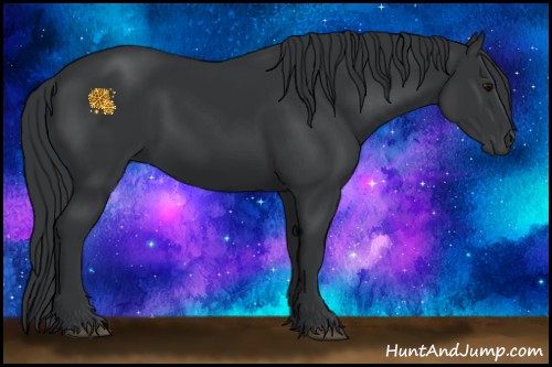 Horse Color:Black 