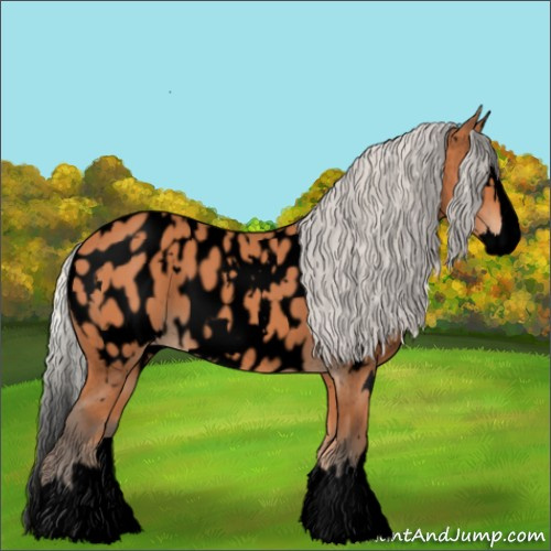 Horse Color:Void White Spotted Silver Bay Splash Appaloosa