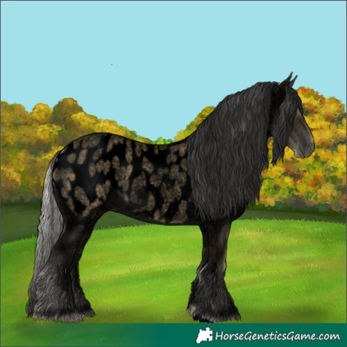 Horse Color:Void Silver Buckskin Roan Appaloosa Rabicano 
