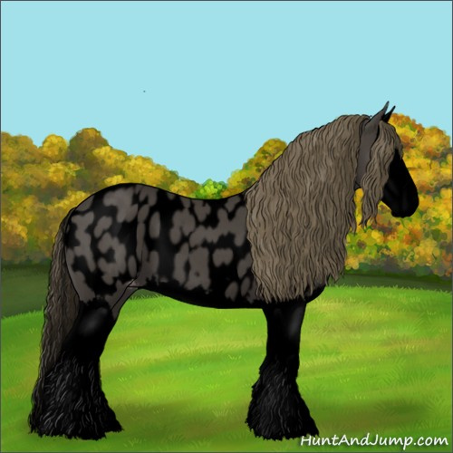 Horse Color:Void Smoky Black Splash Appaloosa 