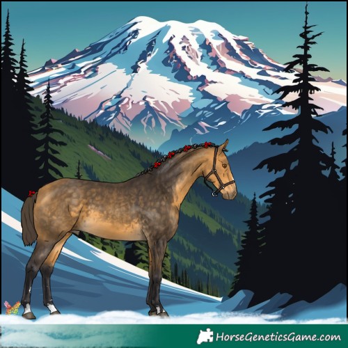 Horse Color:Buckskin 
