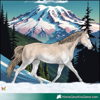 Horse Color:White Spotted Perlino 