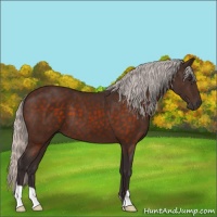Horse Color:Silver Brown 