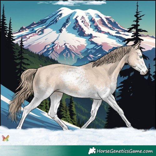 Horse Color:White Spotted Perlino 