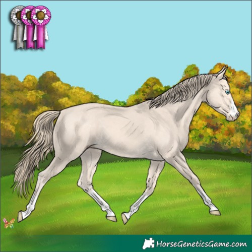Horse Color:Perlino 
