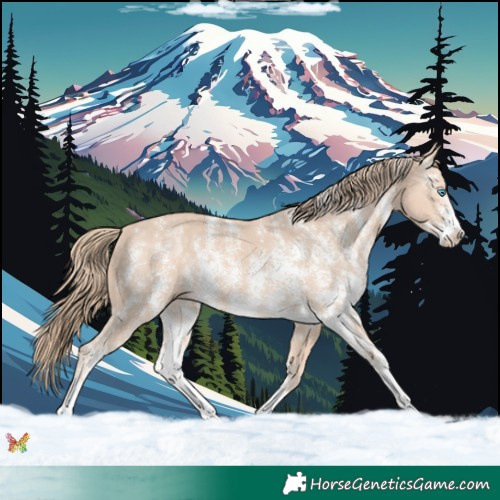 Horse Color:Perlino Sabino