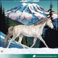 Horse Color:Perlino Sabino 