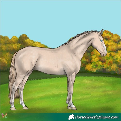 Horse Color:Perlino 