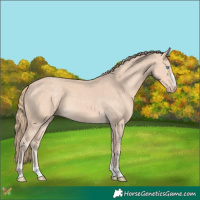 Horse Color:Perlino 