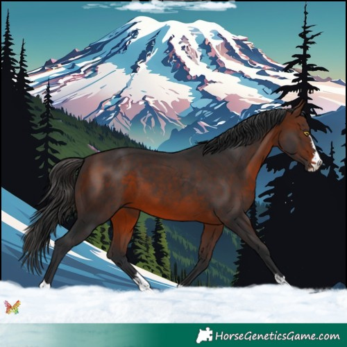 Horse Color:Brown 
