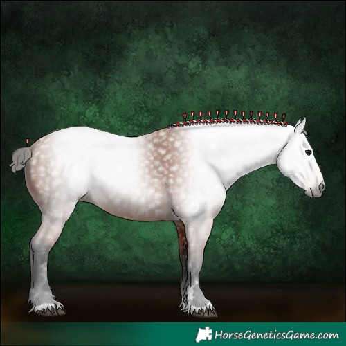 Horse Color:Gray Bay 