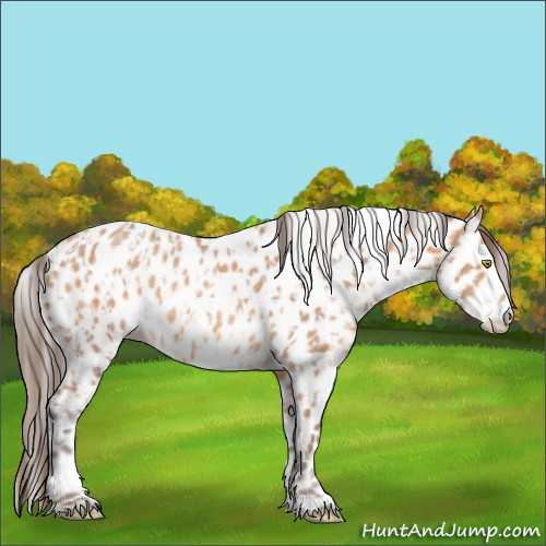 Horse Color:Amber Champagne Appaloosa  and Amber Champagne Appaloosa 