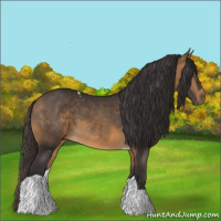 Horse Color:Buckskin Tobiano 