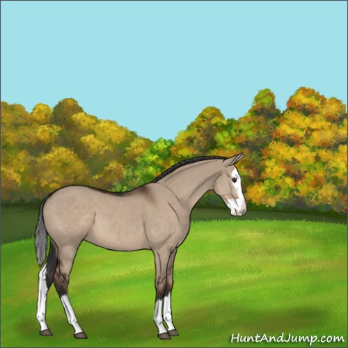 Horse Color:Liver Red Dun Sabino Splash