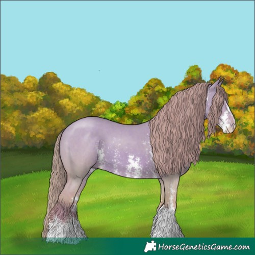 Horse Color:Watercolor Red Dun Sabino 