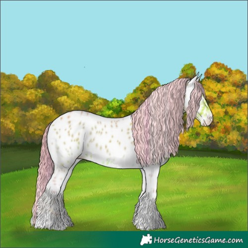 Horse Color:Watercolor Bay Onyx Near Leopard