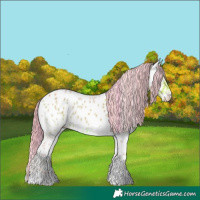 Horse Color:Watercolor Bay Onyx Near Leopard