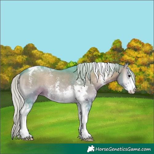 Horse Color:Watercolor Silver Brown Onyx Sabino Tobiano 