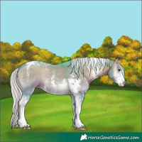 Horse Color:Watercolor Silver Brown Onyx Sabino Tobiano